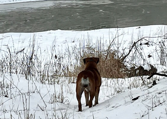 Kezzie walking along riverbank